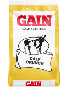 Calf Crunch