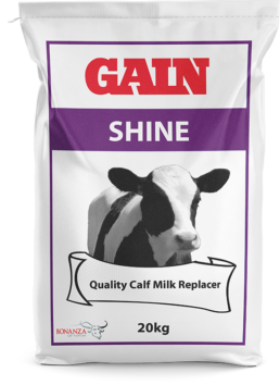 GAIN Shine Quality Calf Milk Replacer