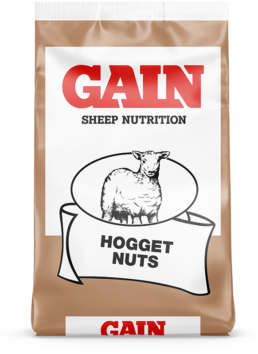 Hogget Nuts