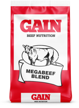 Mega Beef Blend