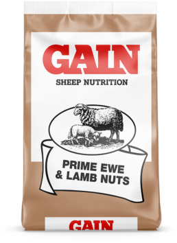 Prime Ewe & Lamb Nuts