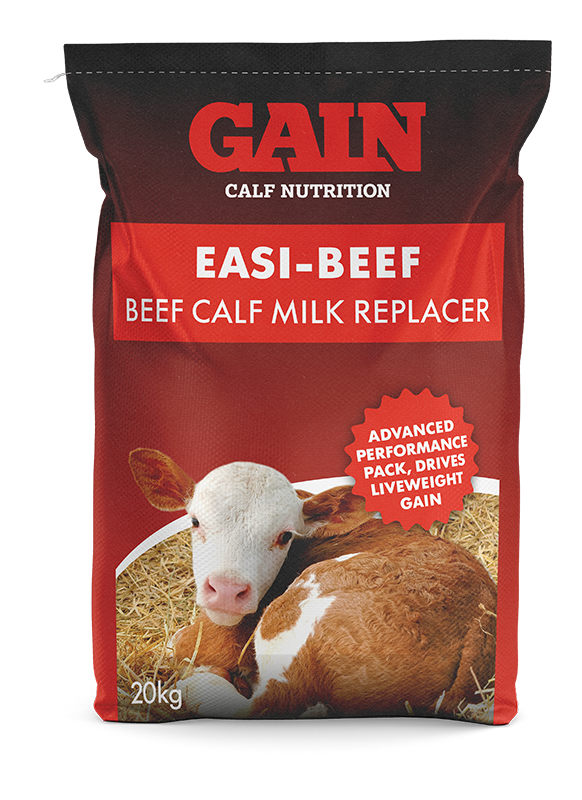 GAIN EasiBeef Calf Milk Replacer 20kg GAIN Agri