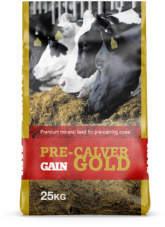GAIN Pre Calver Gold