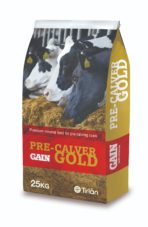 pre calver gold