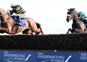 Image of horse jumping over a fence