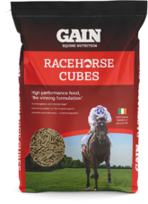 Race Horse Cubes