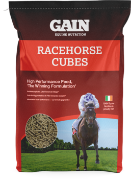 GAIN Equine Racehorse Cubes