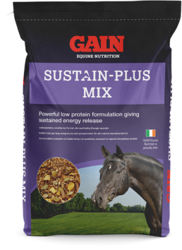 Sustain Plus Mix