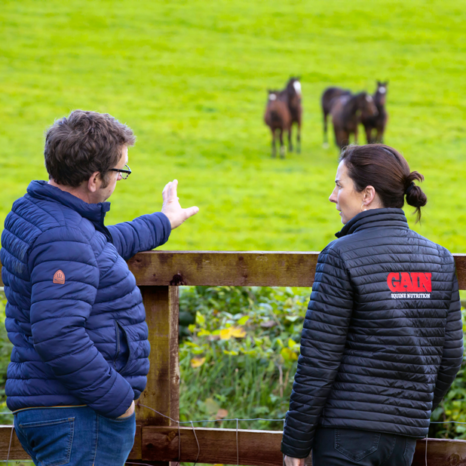 Image of Jerome and Joanne looking into field of horses