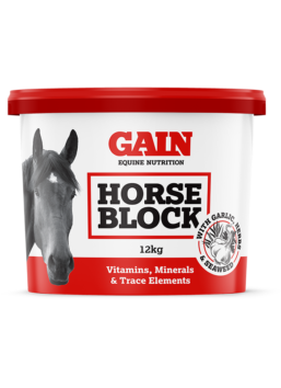 GAIN Equine Horse Block