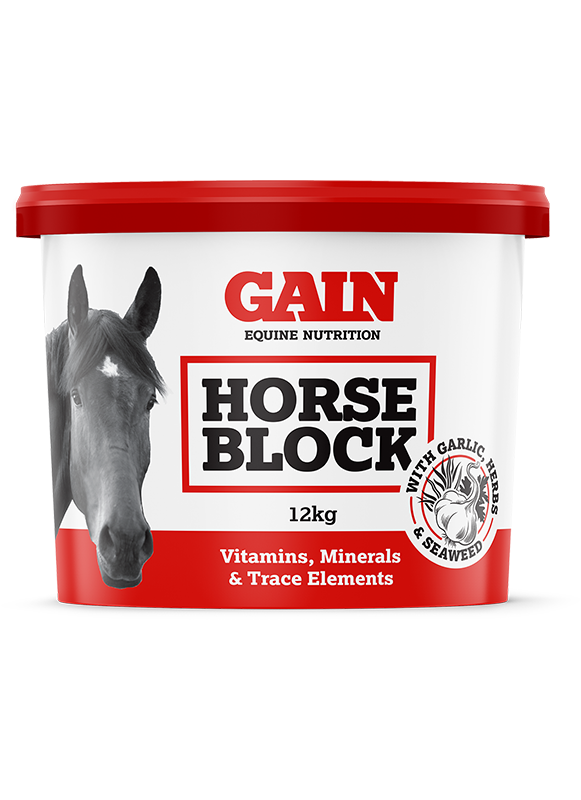 GAIN Equine Horse Block