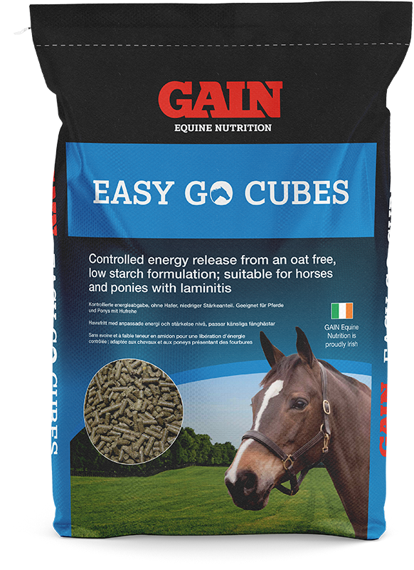 Easy Go Cubes GAIN Equine