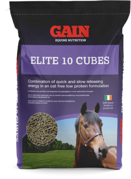 Elite 10 Cubes