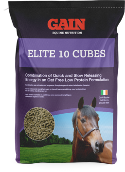GAIN Equine Elite 10 Cubes