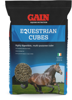 Equine Nutrition – Horse Feed | GAIN Equine Nutrition