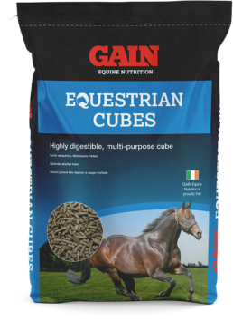 Equestrian Cubes