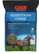 Equestrian Cubes