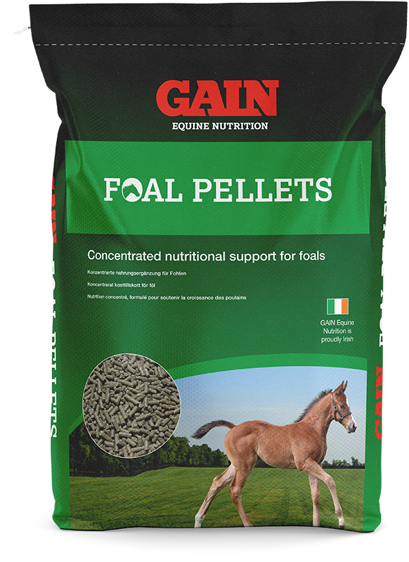 Foal Pellets GAIN Equine