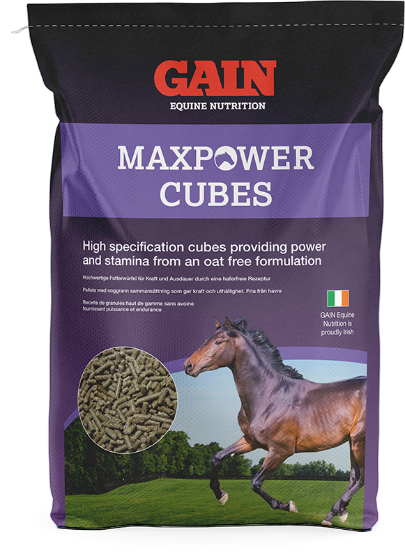 GAIN Equine Maxpower Cubes