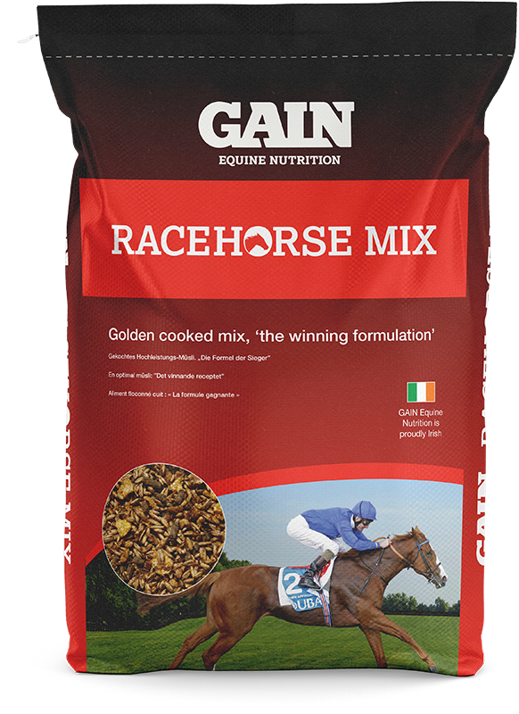 Racehorse - Equine