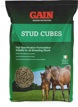 GAIN Equine Stud Cubes