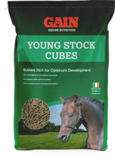 GAIN Equine Young Stock Cubes