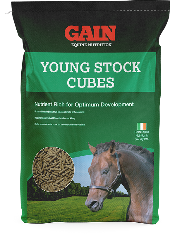 GAIN Equine Young Stock Cubes