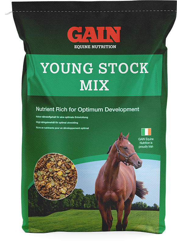 GAIN Equine Young Stock Mix