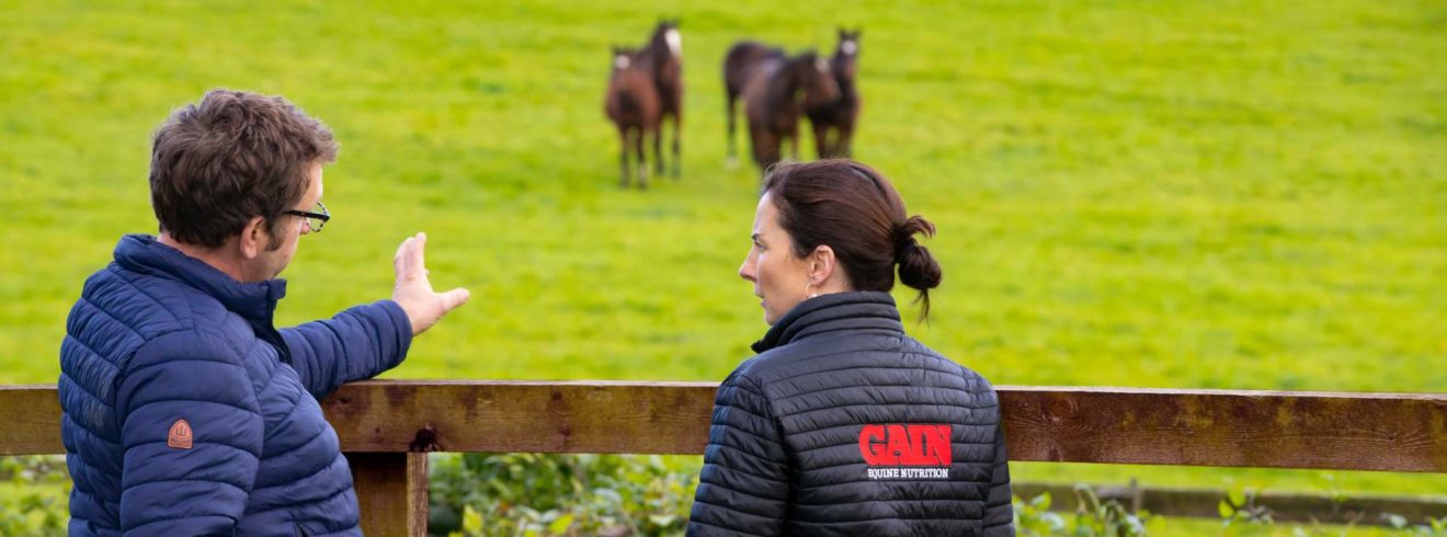 Image of Jerome and Joanne looking at horse in a field