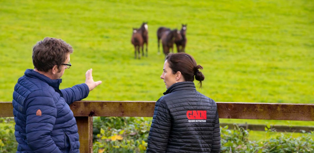 Image of Jerome and Joanne looking at horse in a field