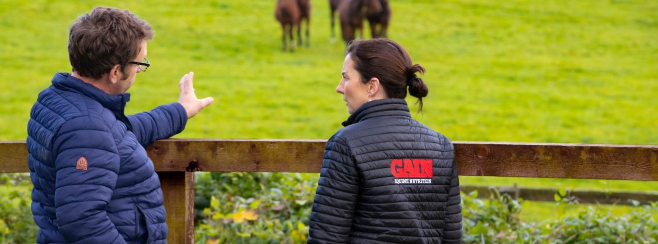 Jerome and Joanne looking out at field of horses