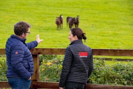 Jerome and Joanne looking out at field of horses