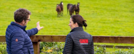 Jerome and Joanne looking out at field of horses