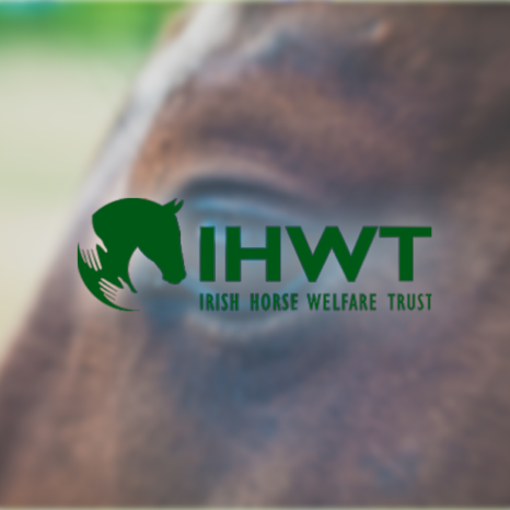 Image of IHWT logo