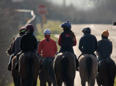 image of people on horses