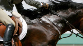 Rider on horseback in showjumping area.
