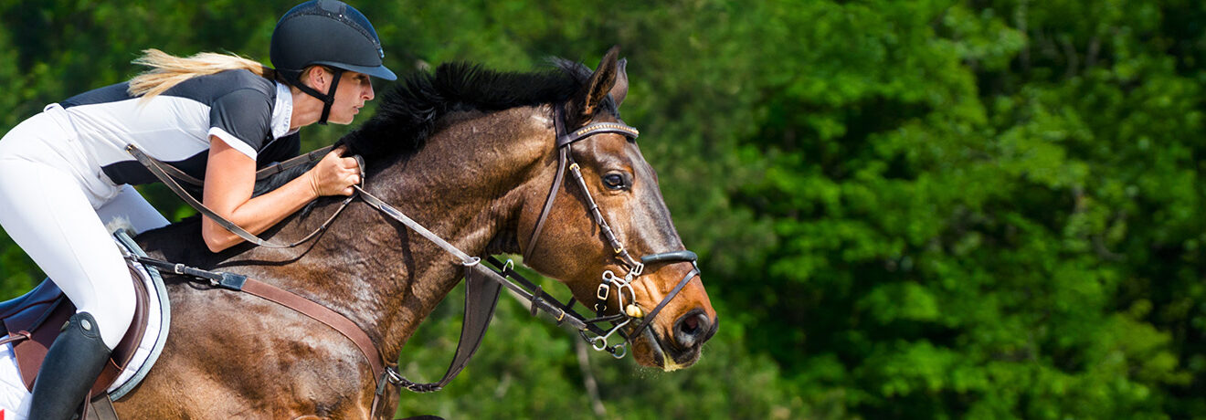 Close-up of horse with a female rider jumping over a hurdle.