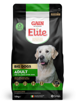 big dog adult product