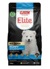 Big Dogs Puppy