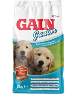 GAIN Junior