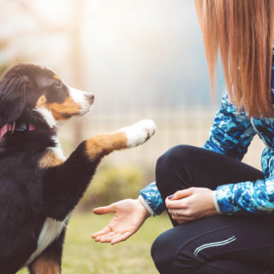 Image of a woman and a puppy