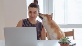 image of woman working from home with her pet