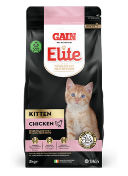 GAIN elite kitten food
