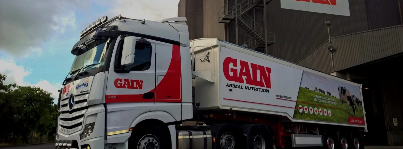 Where To Buy Gain Home Where To Buy Gain Home